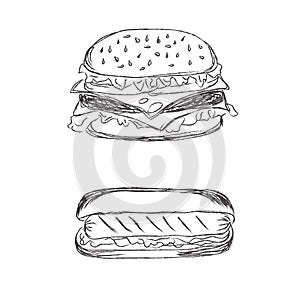 Hamburger and hot dog in sketch style on white background