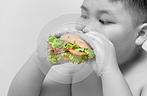 Hamburger on obese boy hand Black and white background
