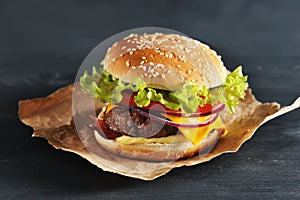 Hamburger with onion tomato and salad