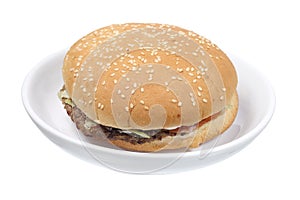 Hamburger on Plate
