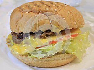 Hamburger photo