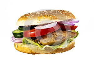 Hamburger on white  background