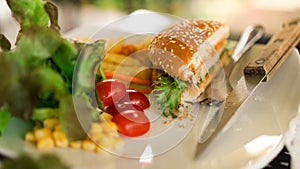 Hamburger on the white dish.