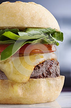 Hamburguer close up