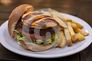 Hamburguer sandwich and french fries