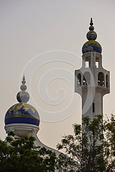 Hamed bin Hamood mosque, Oman