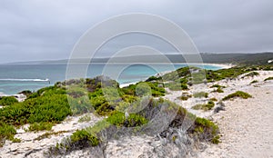 Hamelin Bay: Vegetated Dunes