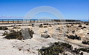 Hamelin Pool boardwalk