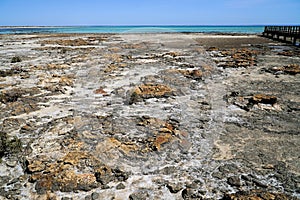 Hamelin Pool Heritageâ€“listed of Shark Bay