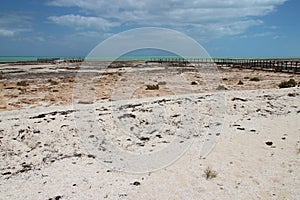 hamelin pool - shark bay - western australia