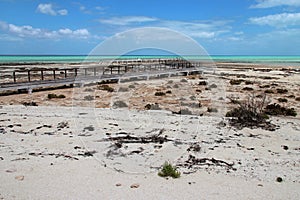 hamelin pool - shark bay - western australia