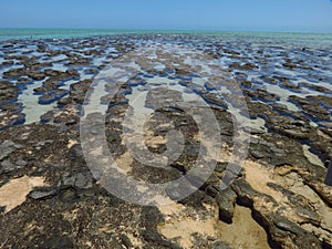 Hamelin Pool Stromatolites