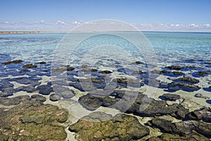 Hamelin Pool in Western Australia