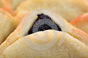 Hamentashen Ozen Haman Purim cookies