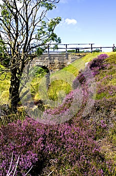 Hamer Bridge, North York Moors, England