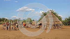 Hamer, Ethiopia, Africa