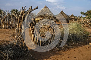 Hamer tribe in Turmi, Ethiopia