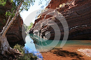 Hamersley Gorge, Karijini National Park