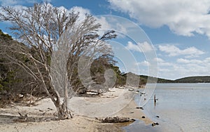 Fitzgerald River National Park, Western Australia