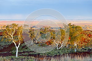 Hamersley Range