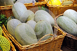 Hami melon (a variety of muskmelon)