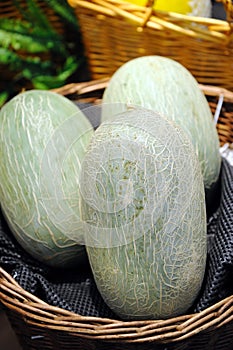 Hami melon (a variety of muskmelon)