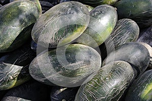 Hami melon (a variety of muskmelon)