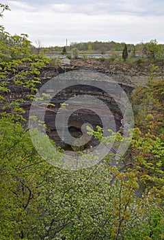 Hamilton Devils Punch Bowl