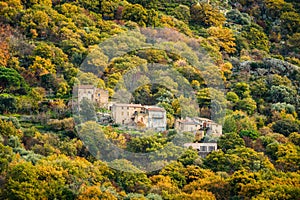 Hamlet of Quarci in Corsica and autumn trees photo