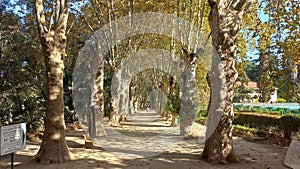 Hamma Scientific Experiments Park in Algiers