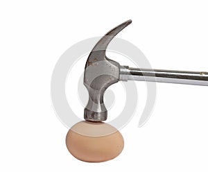 Hammer and egg