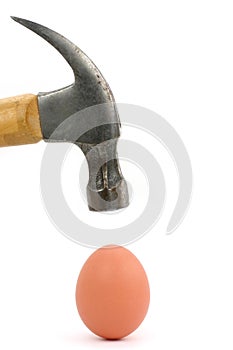 Hammer and egg