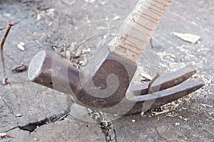Hammer and nails Close Up. photo
