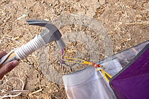 Hammer putting a nail-like tent peg out of iron into the grass on the ground. Push the anchor of the tent onto the ground.Travel