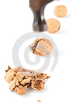 Hammer to crack nuts I