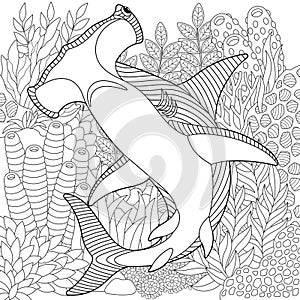 Hammerhead shark adult coloring book page