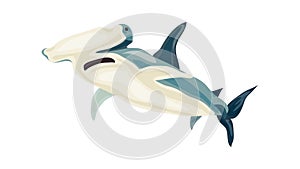 Hammerhead shark icon animation