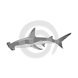 Hammerhead Shark Icon
