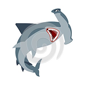 Hammerhead shark isolated. Fish hammer. marine predator vector illustration