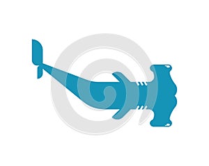 Hammerhead shark isolated. Water predator. Large predatory sea fish. vector illustration