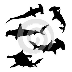 Hammerhead shark set vector