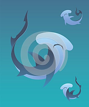 Hammerhead shark vector illustration