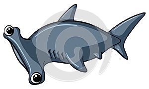 Hammerhead shark on white background