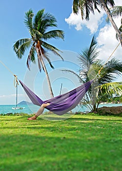 Hammock