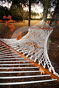 Hammock