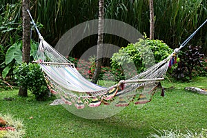 Hammock