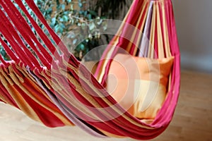 Hammock