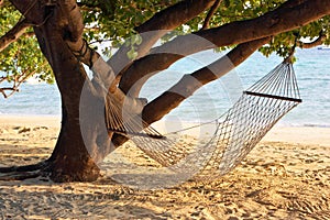 The hammock