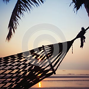 Hammock