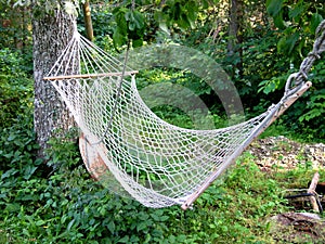 Hammock